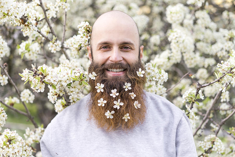 Portrait of laughing hipster with white tree blossoms in his beard Photograph by Westend61