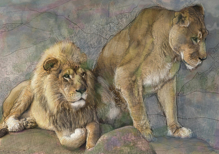 Portrait Of Lions Drawing