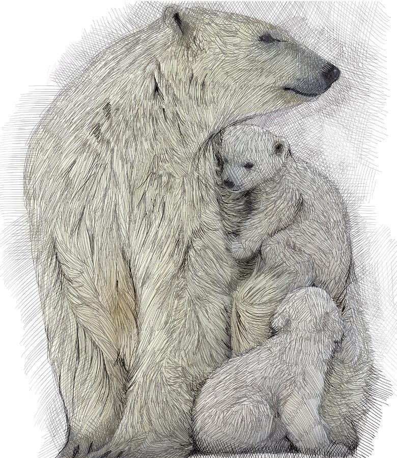 318 Polar Bear Drawing Stock Photos - Free & Royalty-Free Stock Photos from  Dreamstime