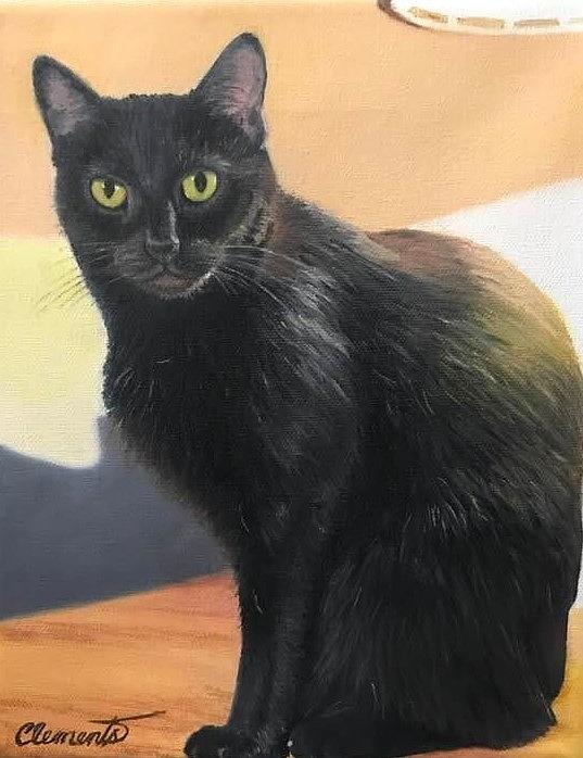 Cat Painting - Portrait of Pookie by Barbara Barber