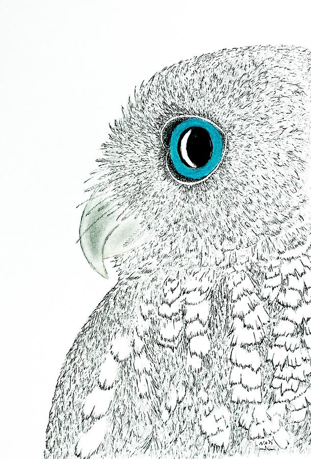 Portrait of Screech Owl  Pastel by Natalia Wallwork