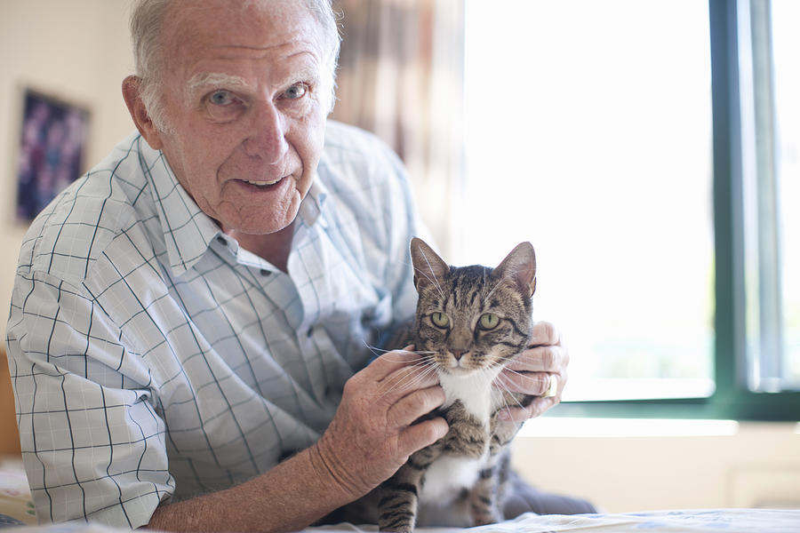 Portrait of senior man petting domestic cat Photograph by Zero Creatives