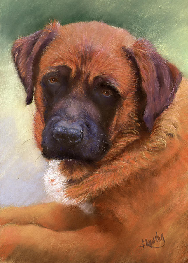 Portrait of Shiba Painting by Margaret Merry