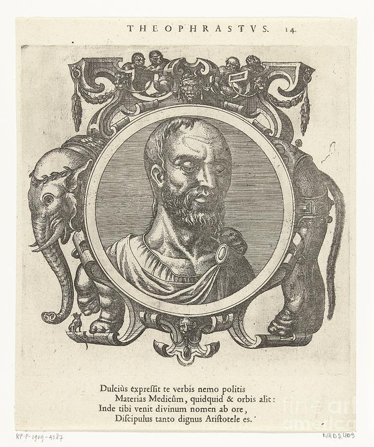 Portrait of Theophrastus, Pieter van der Borcht l, 1612 Painting by ...