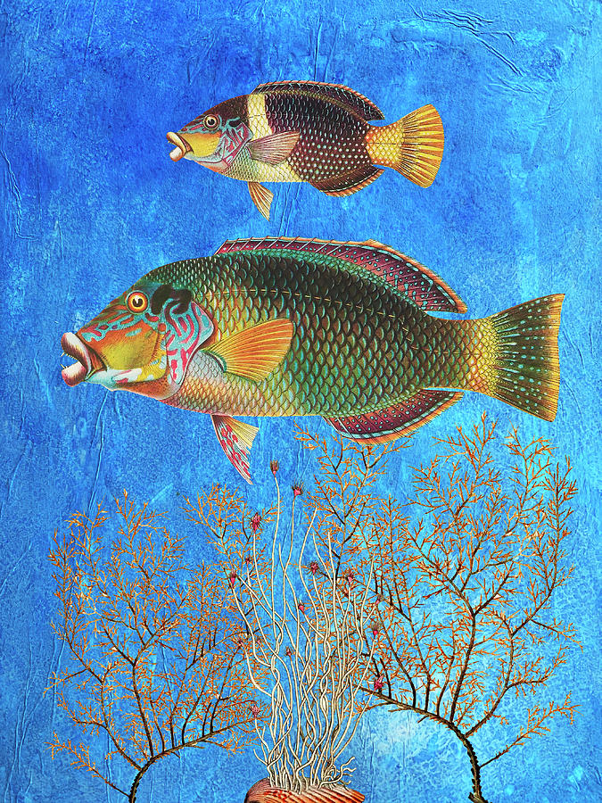 Portrait of Two Fish Mixed Media by Lorena Cassady