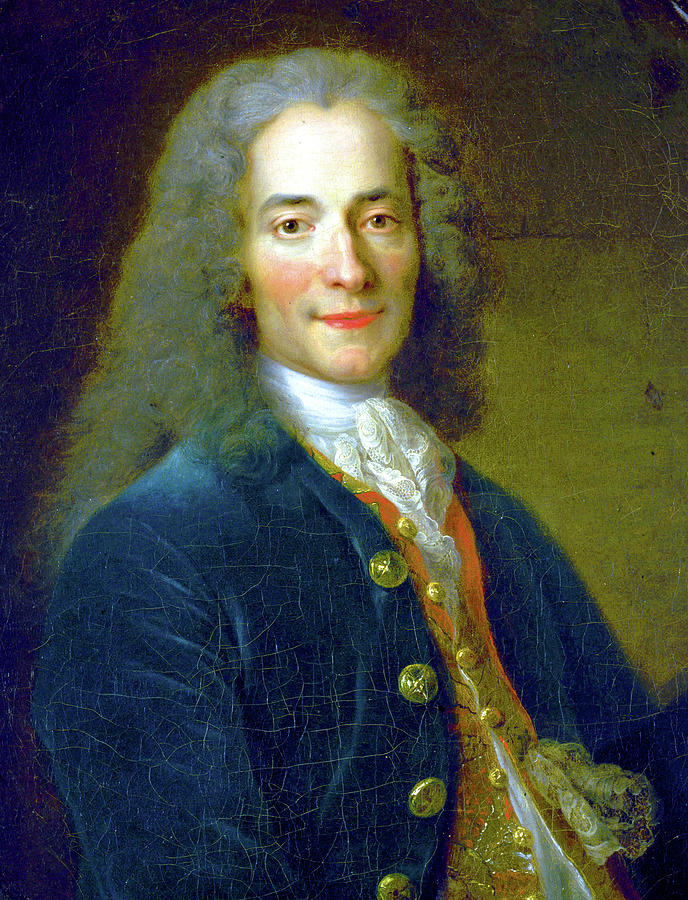 Portrait of Voltaire Painting by Jon Baran - Fine Art America