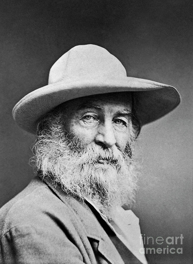 Portrait Of Walt Whitman, 1870 Photograph by American School