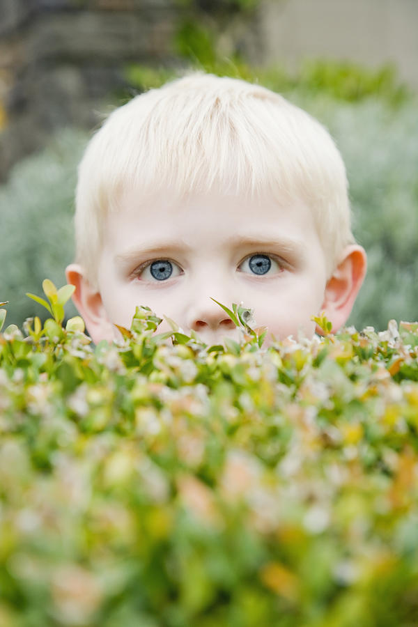 Portrait of young boy (4-5) peeking over bushes Photograph by Inti St. Clair