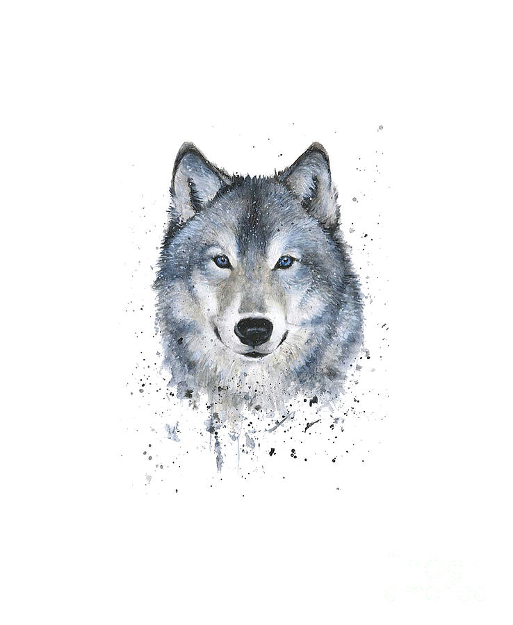 Portrait wolf Drawing by Essam Ashour