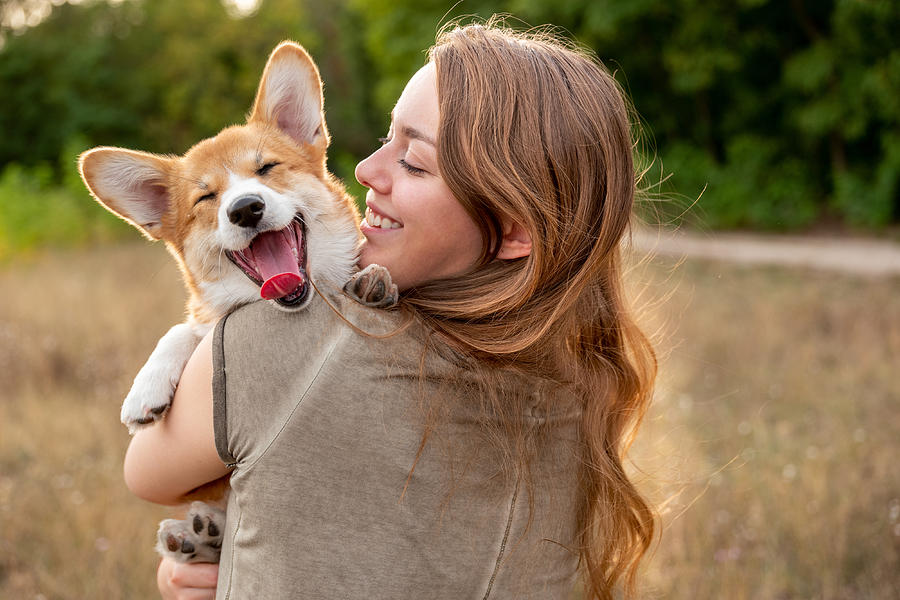 Portrait: young woman with laughing corgi puppy, nature background Photograph by Fotografixx