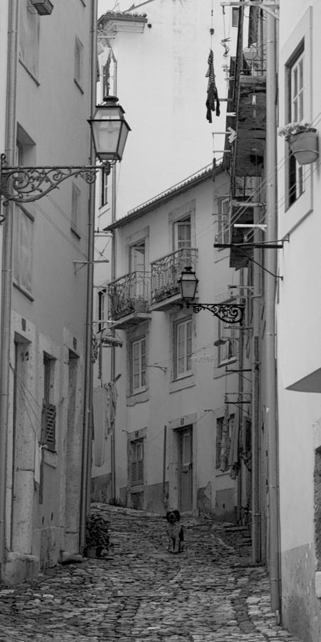 Portugal Xcix Black And White Photograph