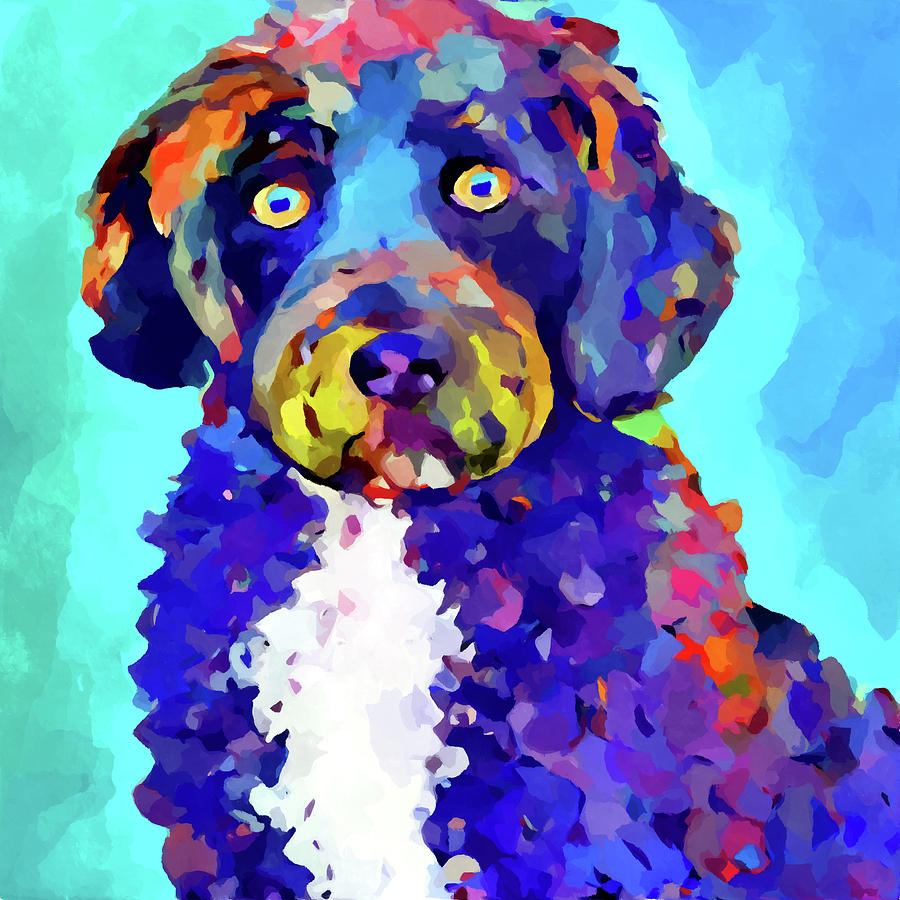 Portuguese Water Dog Painting by Chris Butler
