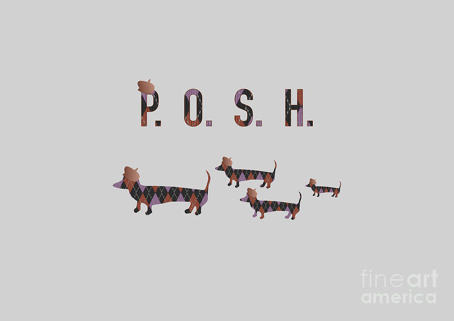 Posh Dachshunds in Fair Isle Sweaters Digital Art by Barefoot Bodeez Art