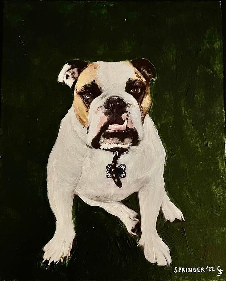 Posing Bulldog Painting by Gary Springer