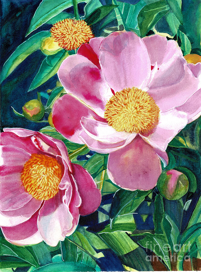 Posing Peonies Painting by Daniela Easter Posing Peonies Painting by Daniela Easter