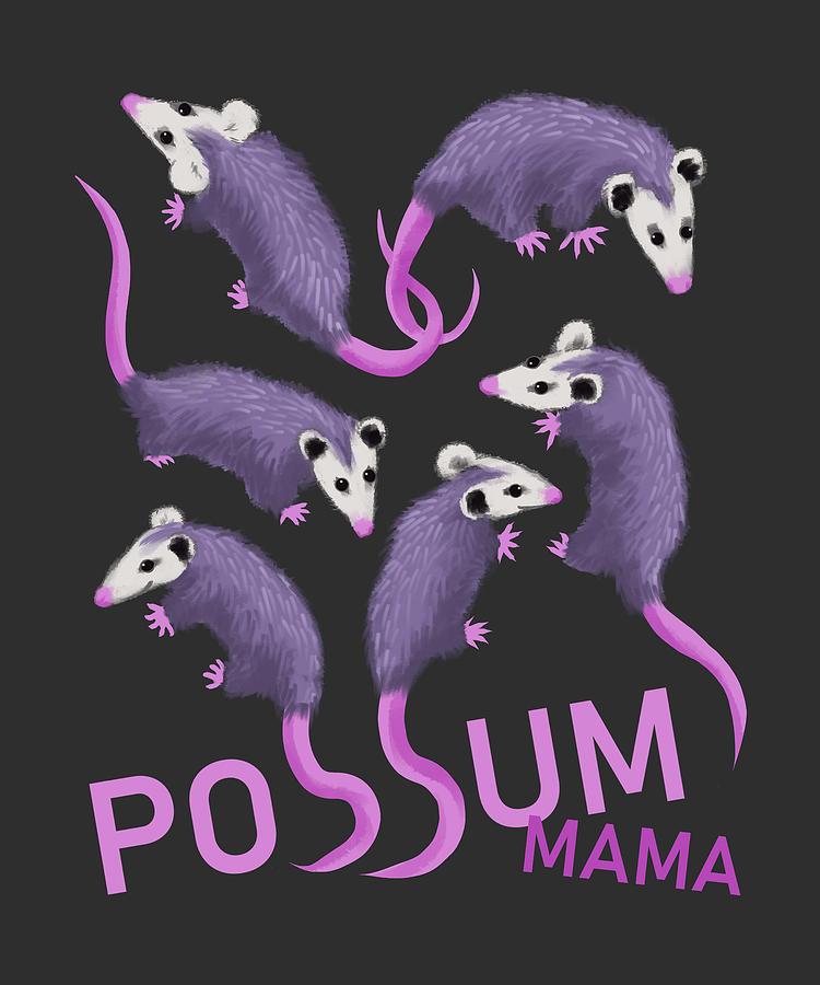 Possum Mama Digital Art by Jindra Noewi