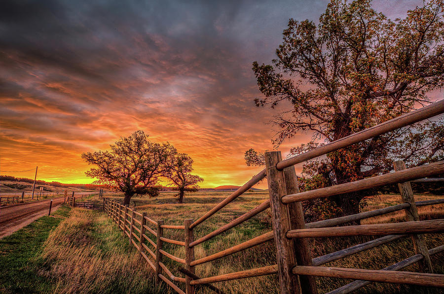 Post and Pole Fence line Sunrise Photograph by Fiskr Larsen