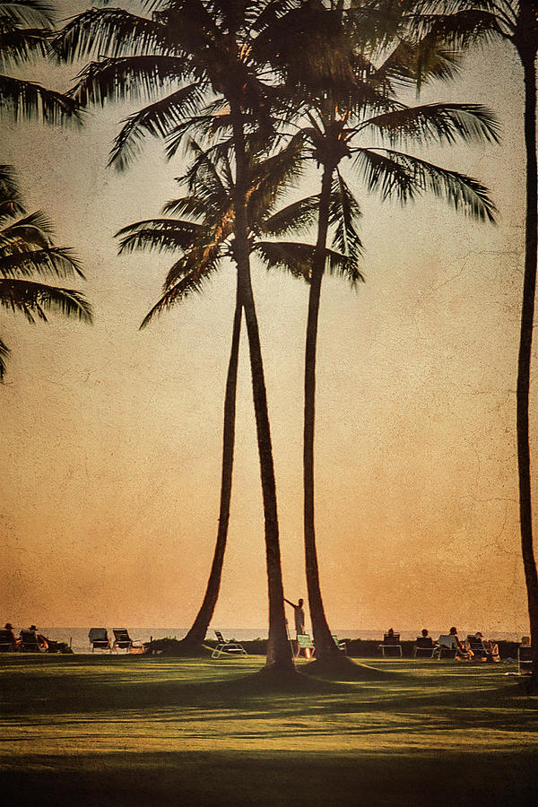 Postcard from Kauai Hawaii Photograph by Mary Lee Dereske
