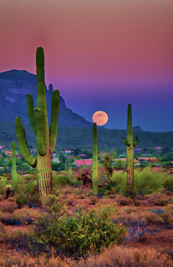 Nature Photograph - Postcard Perfect Arizona by Saija Lehtonen