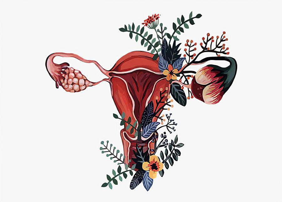 Poster Uterus Art Digital Art by Gambrel Temple - Fine Art America