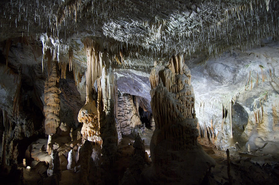 Postojna Caves Photograph by Lysvik Photos