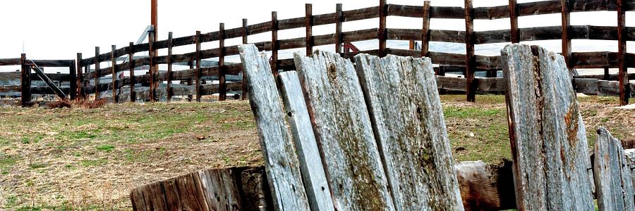 Posts Rails Gate Photograph by Jerry Sodorff