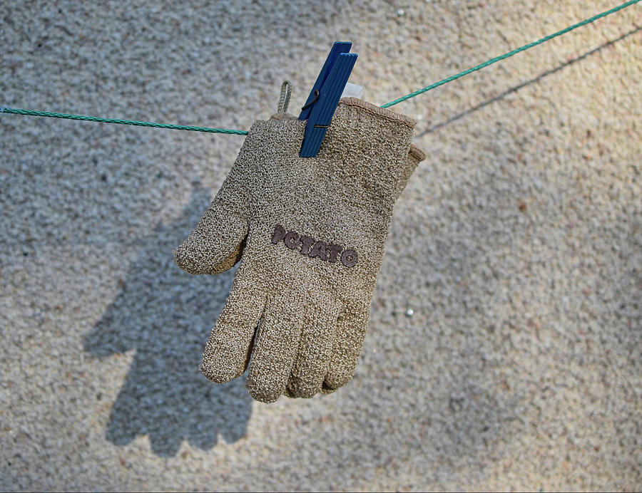 Potato Cleaning Glove Photograph
