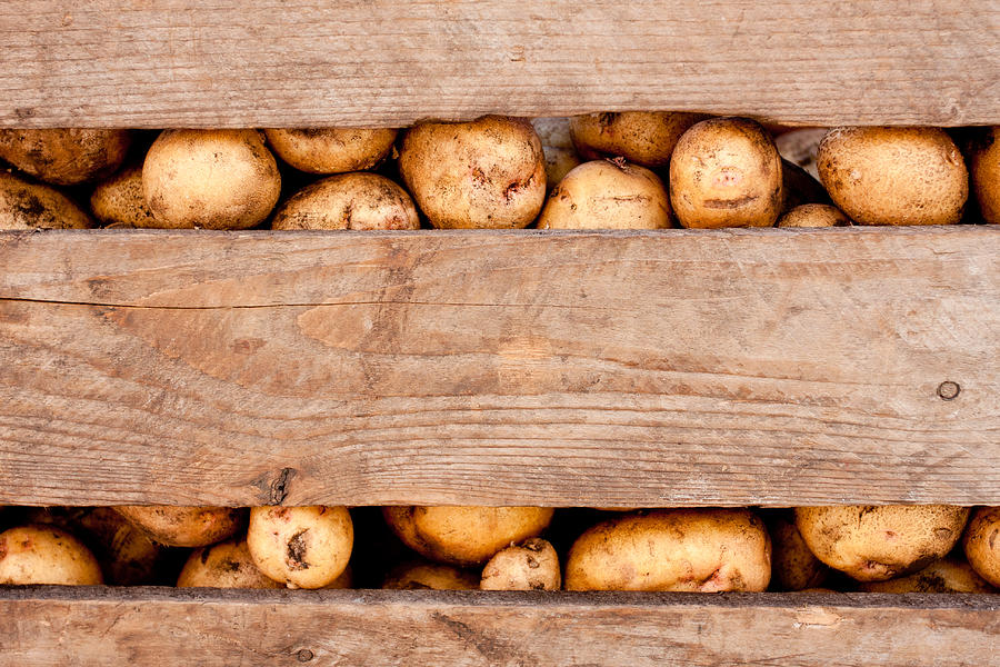 Potato crate Photograph by Adam Jeffery Photography