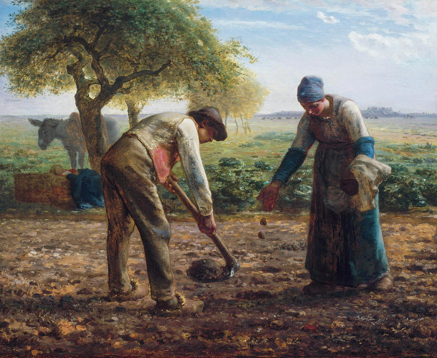 Potato Painting - Potato Planters by Jean Francois Millet 1861 by Jean Francois Millet