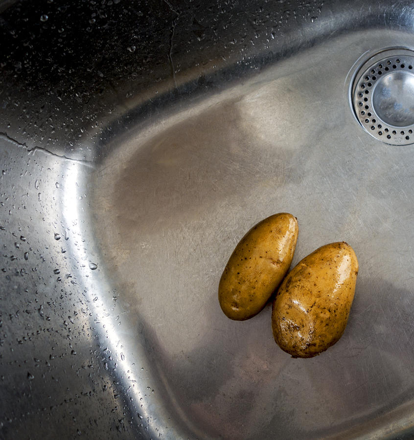 Potatoes in a sink Photograph by Thomas Winz