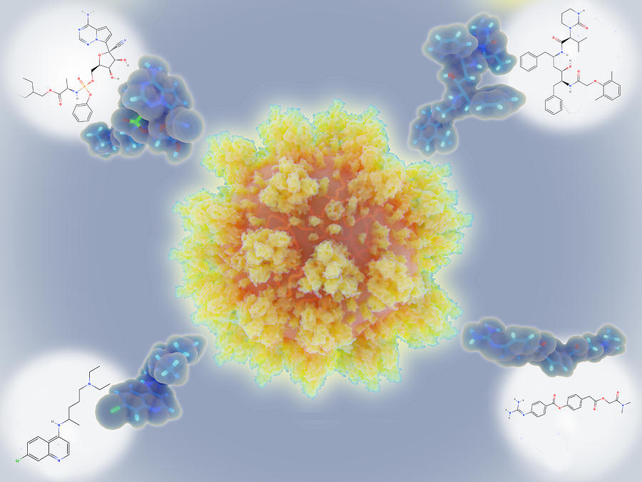 Potential coronavirus drugs, illustration Drawing by Juan Gaertner/science Photo Library