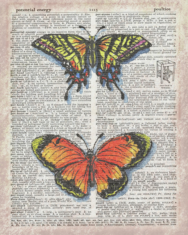 Potential Energy Of Butterfly Effect Dictionary Page Art IV by Irina  Sztukowski