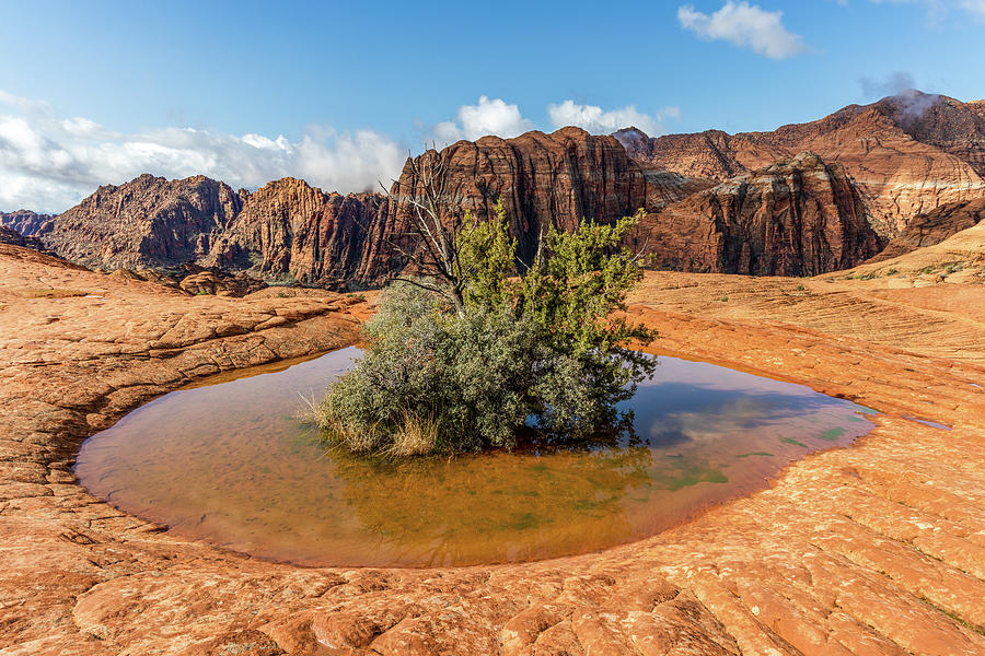 Landscape Photograph - Pothole by James Marvin Phelps Landscape Photograph - Pothole by James Marvin Phelps