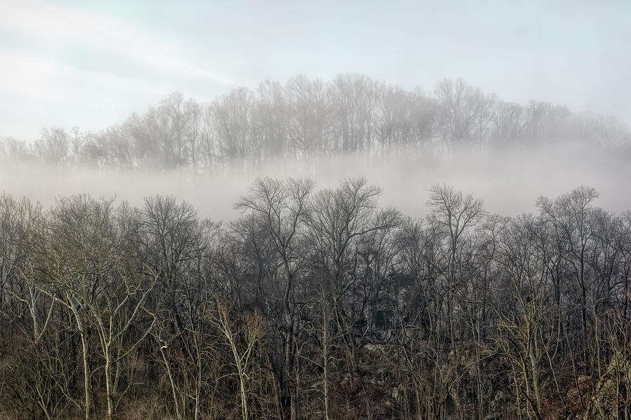Potomac Fog Photograph