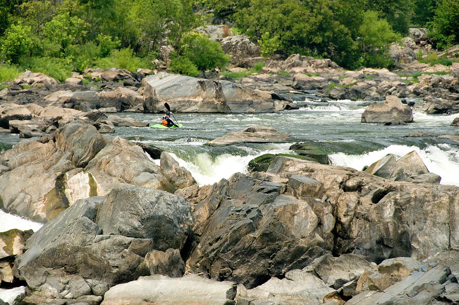 Potomac Kayaker Photograph by Tara Krauss