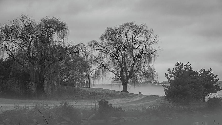 Potomac Mist - Black and White Photograph by Liz Albro