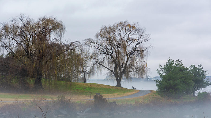 Potomac Mist Photograph by Liz Albro