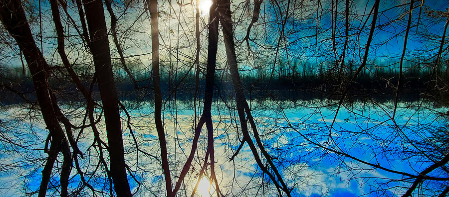 Potomac Reflections Mixed Media by Judy Cuddehe