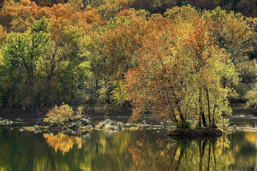 Fall Photograph - Potomac River Autumn Foliage by Francis Sullivan