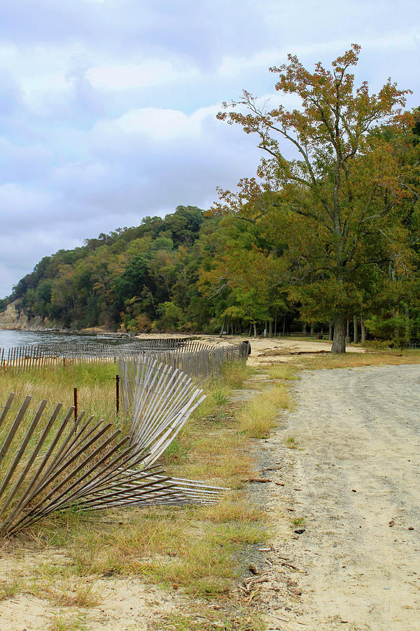 Potomac Shore At Westmoreland Photograph