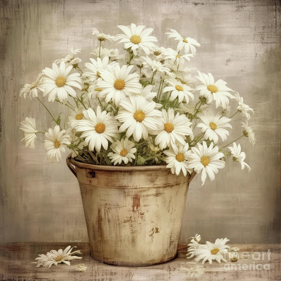 Potted Daisies Painting by Tina LeCour