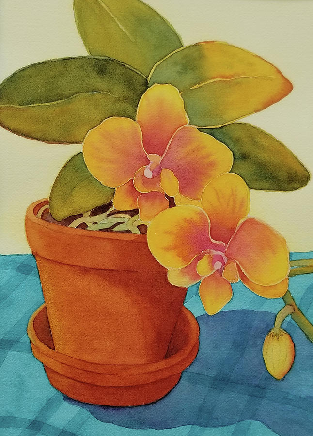 Potted Orchids II Painting by Judy Mercer