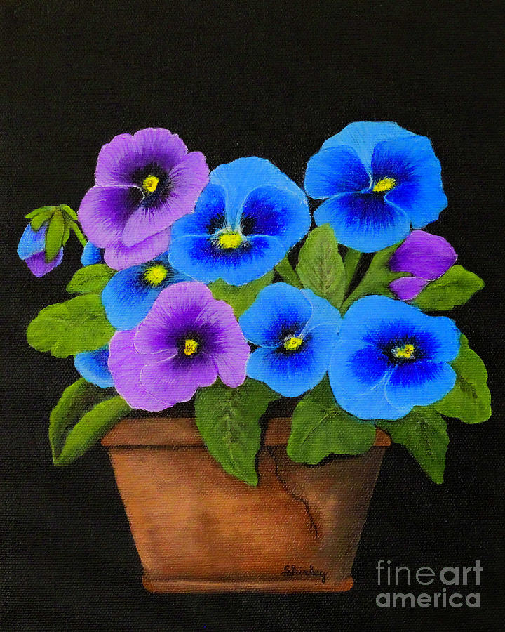 Potted Pansies Painting by Shirley Dutchkowski