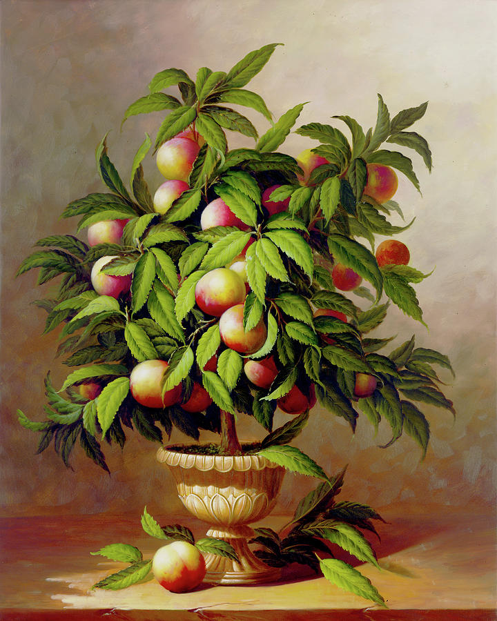 Fruit Painting - Potted Peach Tree by Welby