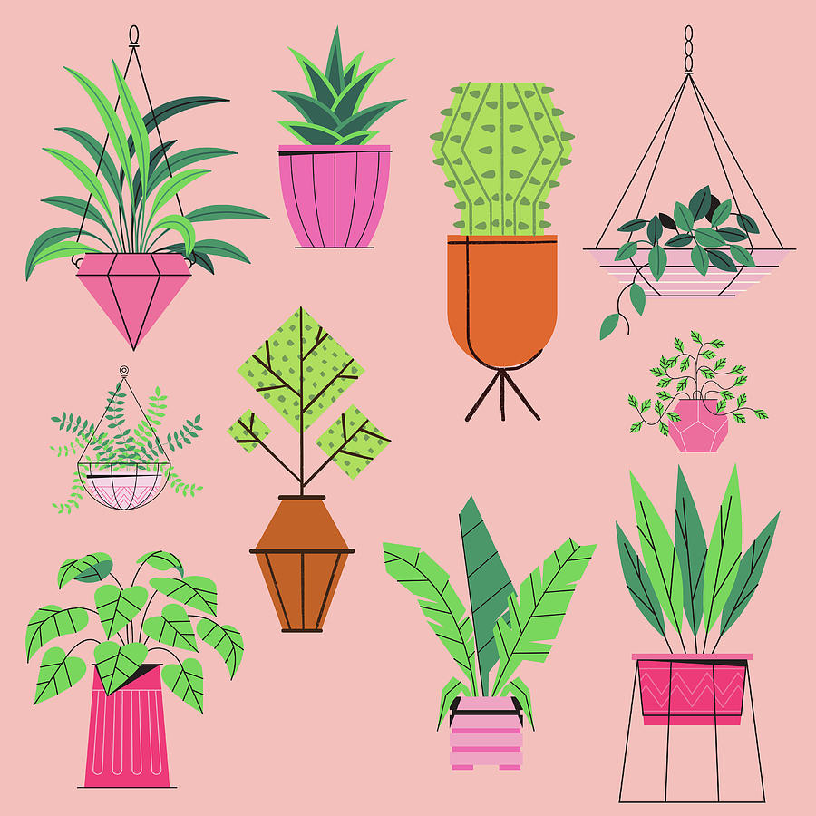 Potted Plants Floral Pattern Nature Pink Print Digital Art by Aaron Geraud