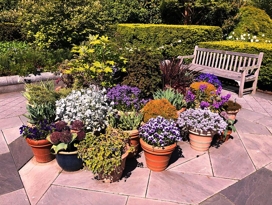 Potted Plants NY Botanical Garden Photograph by Russel Considine