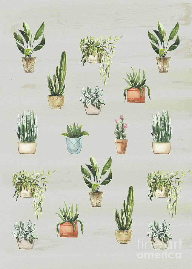 Potted Plants Pattern Mixed Media