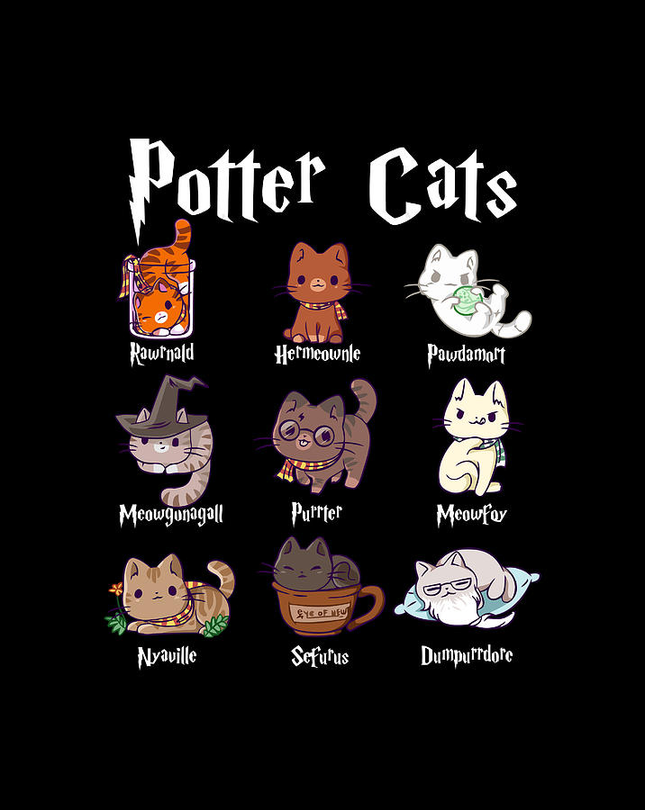 Potter Cats Cute Harry Pawter Kitten Gifts For Her Gift Items Digital ...