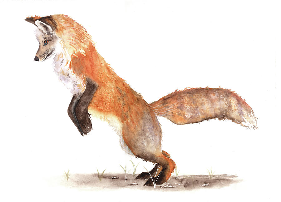Pouncing Fox Painting by Jeanette Mahoney