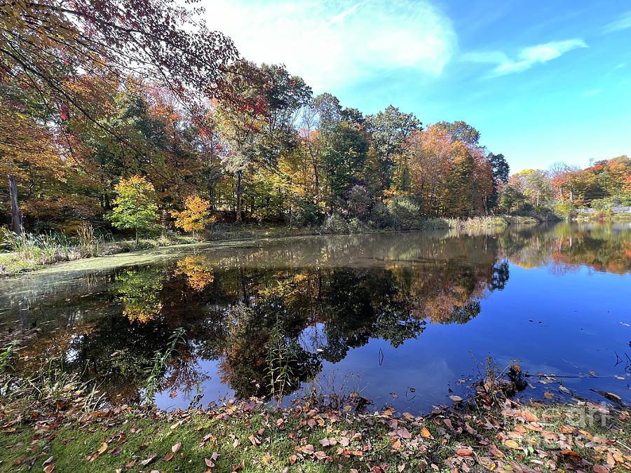 Pound Ridge Park Photograph by Christy Gendalia Fine Art America